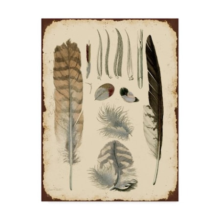 Jean Plout 'Vintage Feather Study White' Canvas Art,24x32